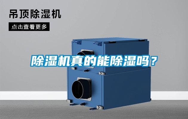 除濕機(jī)真的能除濕嗎？