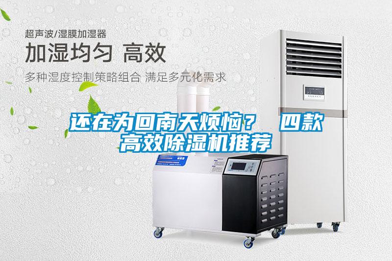 還在為回南天煩惱？ 四款高效除濕機推薦