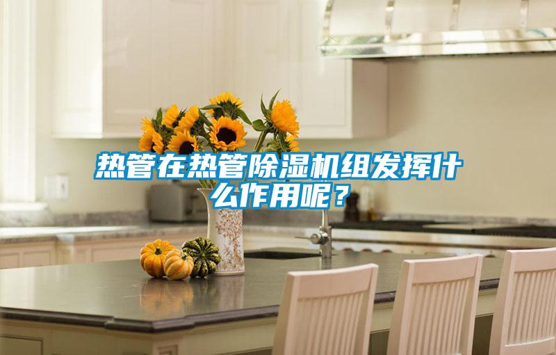 熱管在熱管除濕機組發(fā)揮什么作用呢？