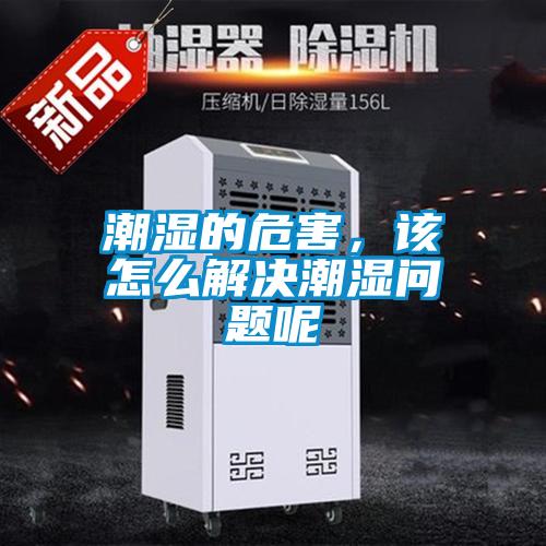 潮濕的危害，該怎么解決潮濕問(wèn)題呢
