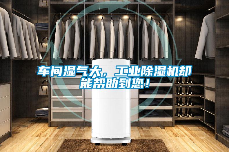 車(chē)間濕氣大，工業(yè)除濕機(jī)卻能幫助到您！