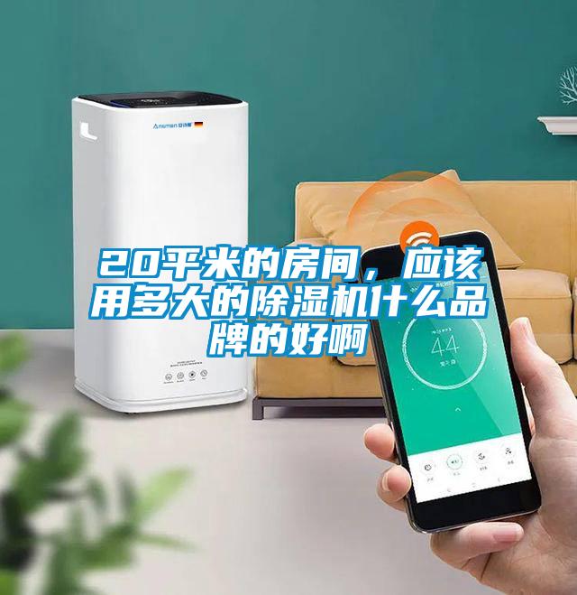 20平米的房間，應該用多大的除濕機什么品牌的好啊