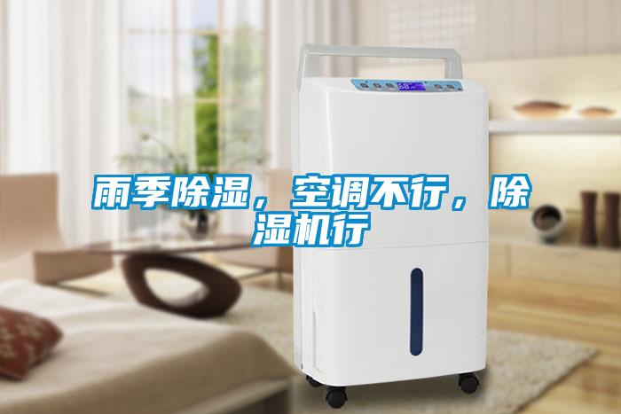 雨季除濕，空調(diào)不行，除濕機(jī)行