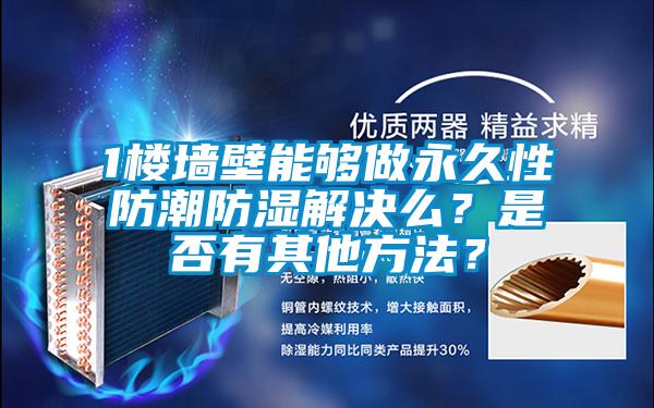 1樓墻壁能夠做永久性防潮防濕解決么？是否有其他方法？