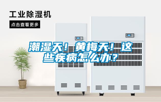潮濕天！黃梅天！這些疾病怎么辦？