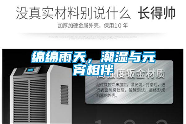 綿綿雨天，潮濕與元宵相伴