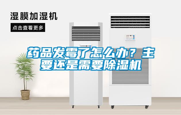 藥品發(fā)霉了怎么辦？主要還是需要除濕機(jī)