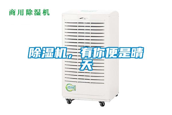 除濕機(jī)，有你便是晴天