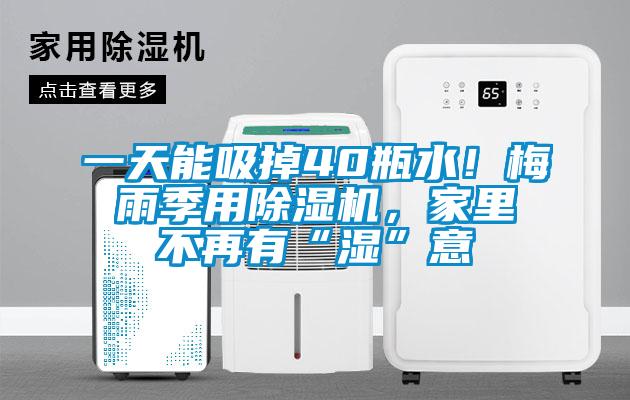 一天能吸掉40瓶水！梅雨季用除濕機(jī)，家里不再有“濕”意