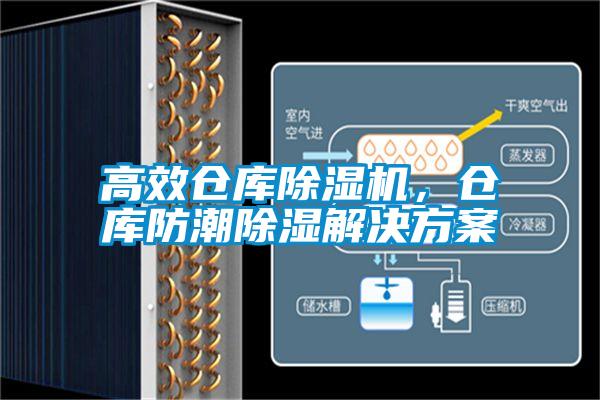 高效倉庫除濕機(jī)，倉庫防潮除濕解決方案