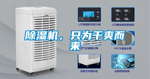 除濕機(jī)，只為干爽而來