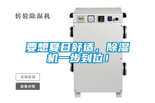 要想夏日舒適，除濕機一步到位！