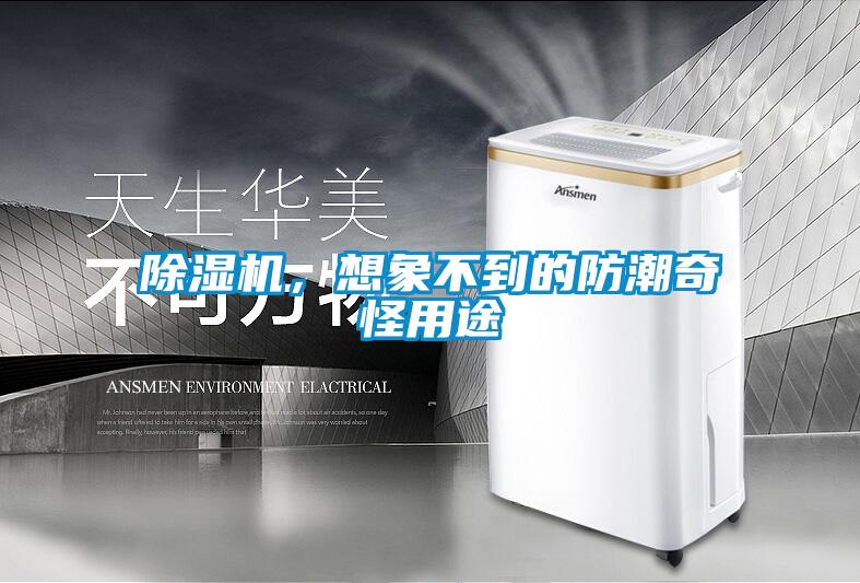 除濕機，想象不到的防潮奇怪用途