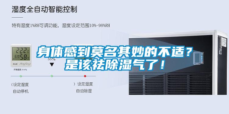 身體感到莫名其妙的不適？是該祛除濕氣了！