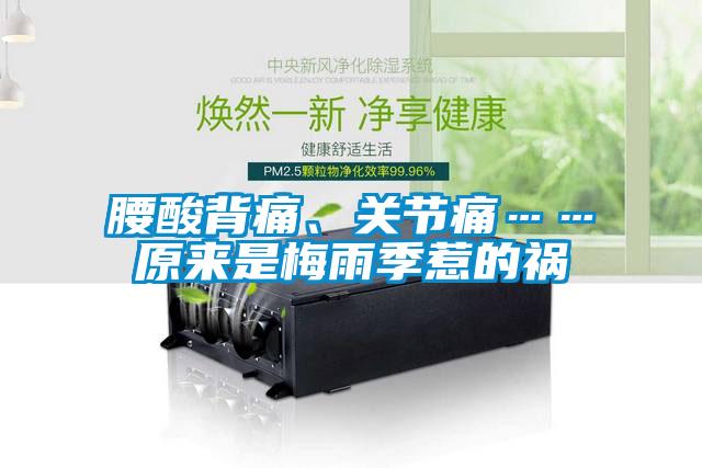 腰酸背痛、關(guān)節(jié)痛……原來是梅雨季惹的禍
