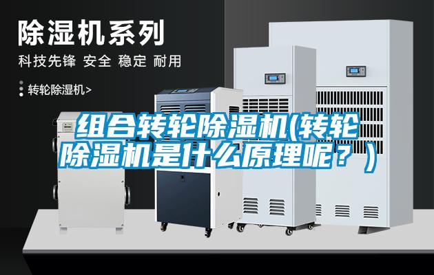 組合轉(zhuǎn)輪除濕機(jī)(轉(zhuǎn)輪除濕機(jī)是什么原理呢？)