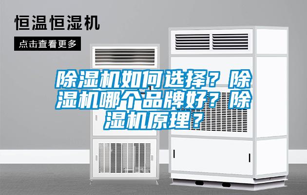 除濕機(jī)如何選擇？除濕機(jī)哪個(gè)品牌好？除濕機(jī)原理？