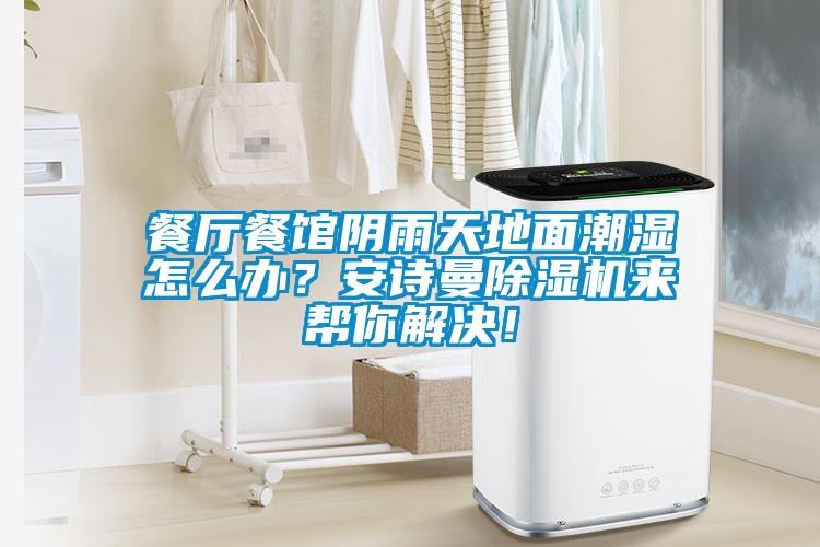 餐廳餐館陰雨天地面潮濕怎么辦？安詩曼除濕機(jī)來幫你解決！
