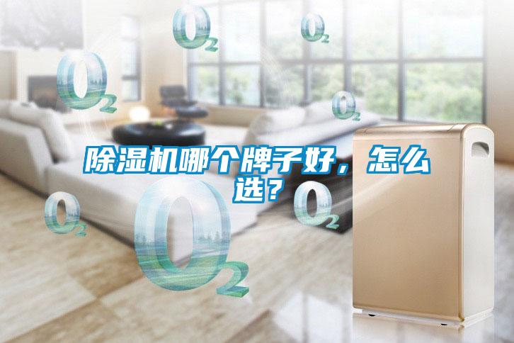 除濕機(jī)哪個(gè)牌子好，怎么選？