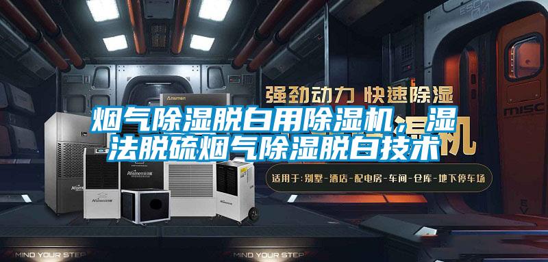 煙氣除濕脫白用除濕機(jī)，濕法脫硫煙氣除濕脫白技術(shù)