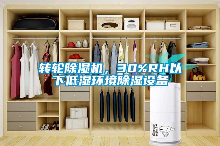 轉(zhuǎn)輪除濕機(jī)，30%RH以下低濕環(huán)境除濕設(shè)備