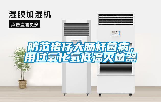 防范豬仔大腸桿菌病，用過(guò)氧化氫低溫滅菌器