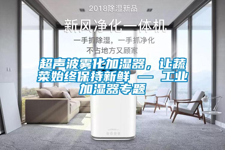 超聲波霧化加濕器，讓蔬菜始終保持新鮮 — 工業(yè)加濕器專題