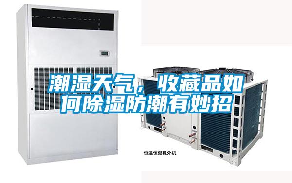 潮濕天氣，收藏品如何除濕防潮有妙招