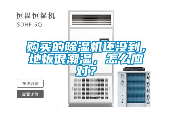 購買的除濕機還沒到，地板很潮濕，怎么應對？