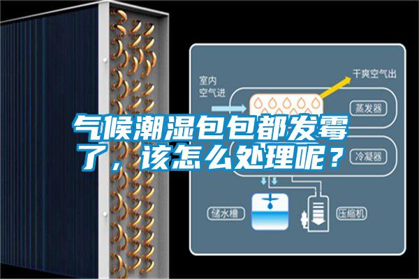 氣候潮濕包包都發(fā)霉了，該怎么處理呢？
