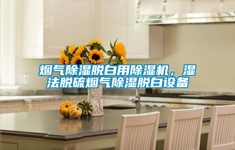 煙氣除濕脫白用除濕機，濕法脫硫煙氣除濕脫白設備