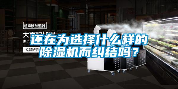 還在為選擇什么樣的除濕機(jī)而糾結(jié)嗎？