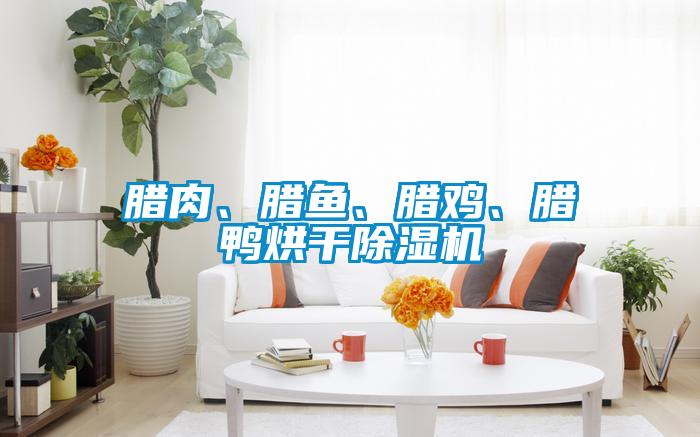 臘肉、臘魚、臘雞、臘鴨烘干除濕機(jī)