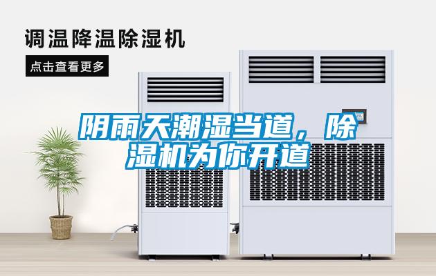 陰雨天潮濕當道，除濕機為你開道