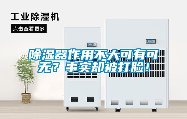 除濕器作用不大可有可無？事實(shí)卻被打臉！