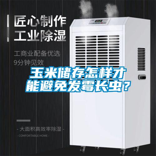 玉米儲存怎樣才能避免發(fā)霉長蟲？