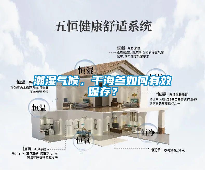 潮濕氣候，干海參如何有效保存？