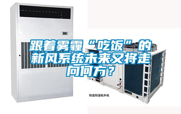 跟著霧霾“吃飯”的新風(fēng)系統(tǒng)未來又將走向何方？