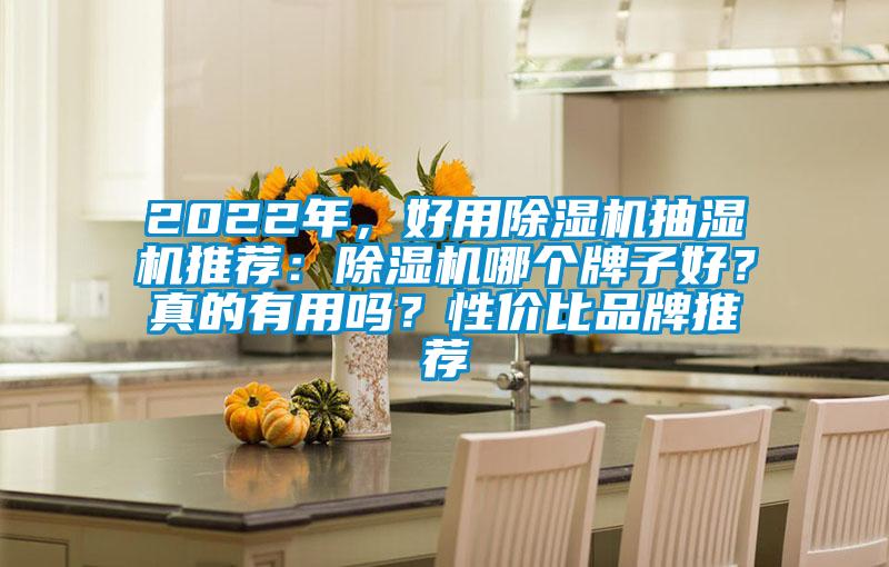 2022年，好用除濕機(jī)抽濕機(jī)推薦：除濕機(jī)哪個(gè)牌子好？真的有用嗎？性價(jià)比品牌推薦