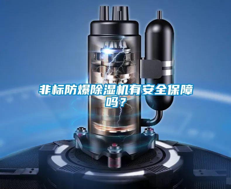非標(biāo)防爆除濕機(jī)有安全保障嗎？