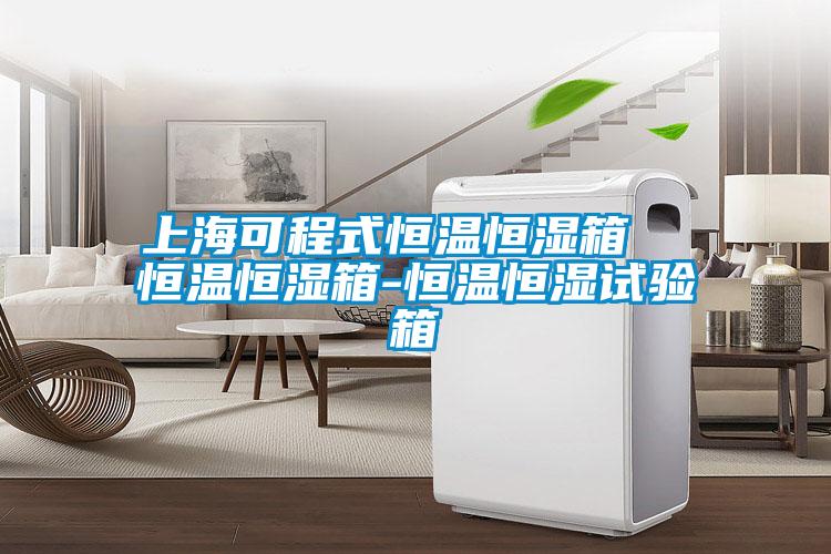 上?？沙淌胶銣睾銤裣? 恒溫恒濕箱-恒溫恒濕試驗(yàn)箱