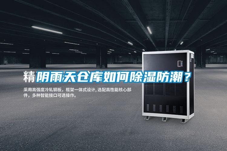 陰雨天倉庫如何除濕防潮？