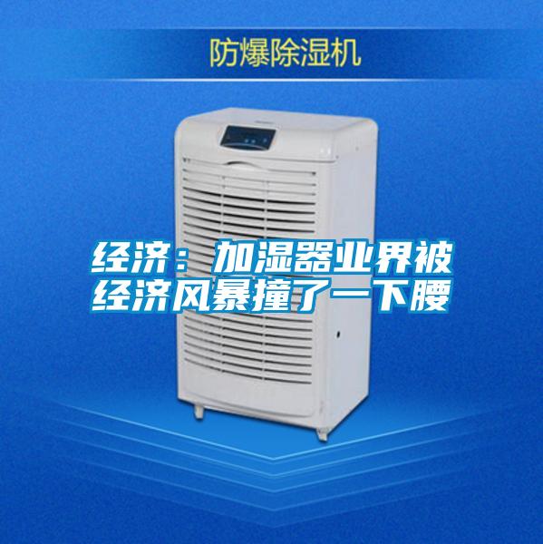 經(jīng)濟：加濕器業(yè)界被經(jīng)濟風(fēng)暴撞了一下腰