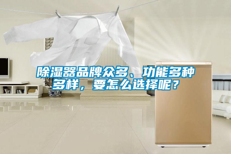 除濕器品牌眾多、功能多種多樣，要怎么選擇呢？