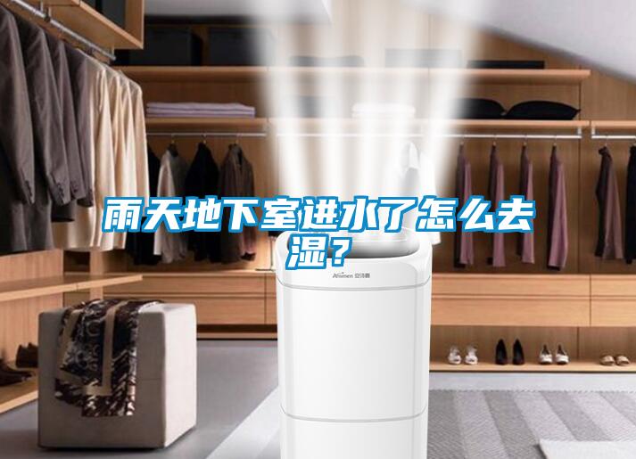 雨天地下室進水了怎么去濕？