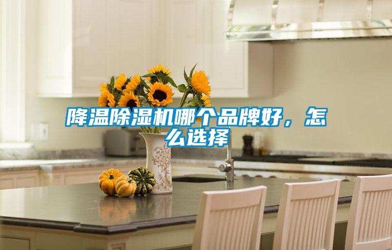 降溫除濕機哪個品牌好，怎么選擇