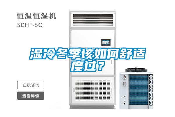 濕冷冬季該如何舒適度過？