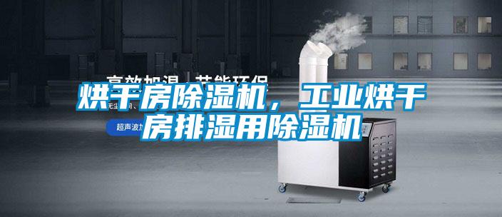 烘干房除濕機，工業(yè)烘干房排濕用除濕機