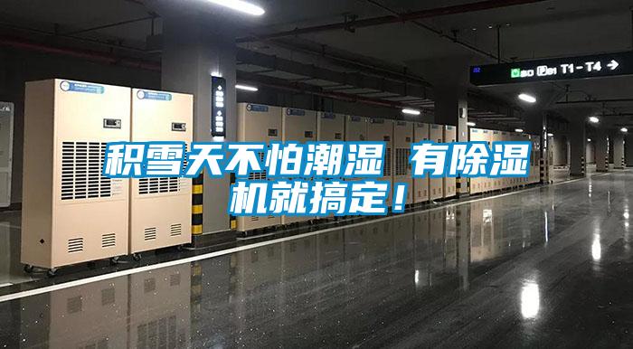 積雪天不怕潮濕 有除濕機就搞定！