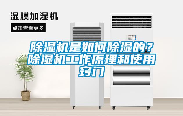 除濕機(jī)是如何除濕的？除濕機(jī)工作原理和使用竅門